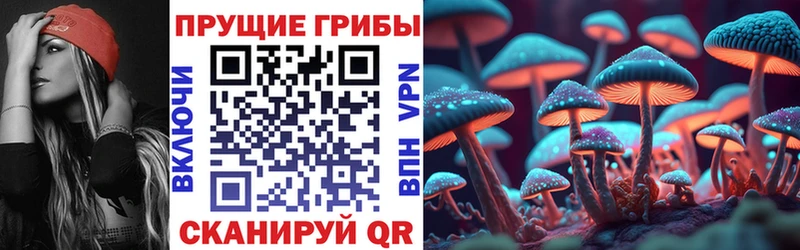 где найти Минеральные Воды Галлюциногенные грибы Psilocybine cubensis